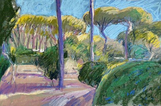 Portuguese pines