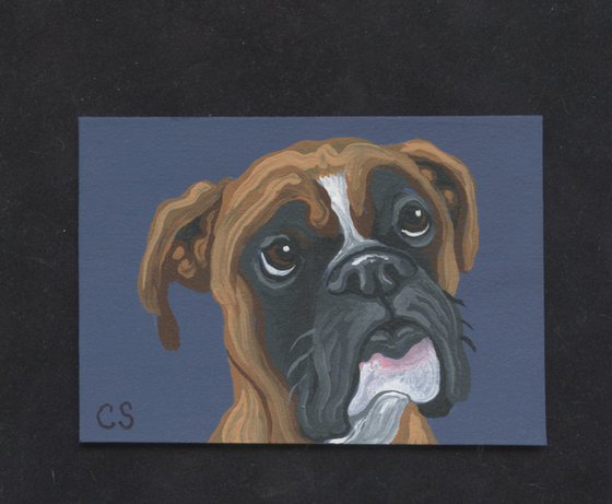 ACEO ATC Original Miniature Painting Fawn Boxer Pet Dog Art-Carla Smale