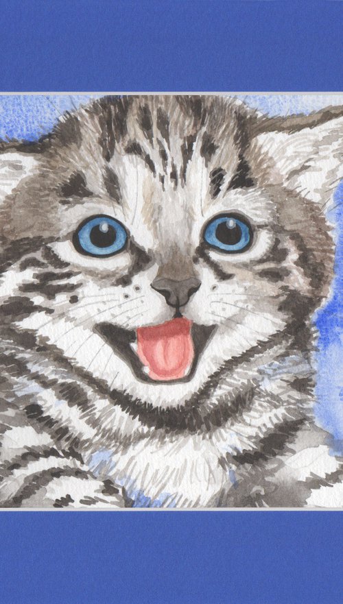 Blue kitty by Jolanta Czarnecka