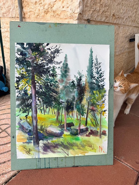 Morning in the Woods