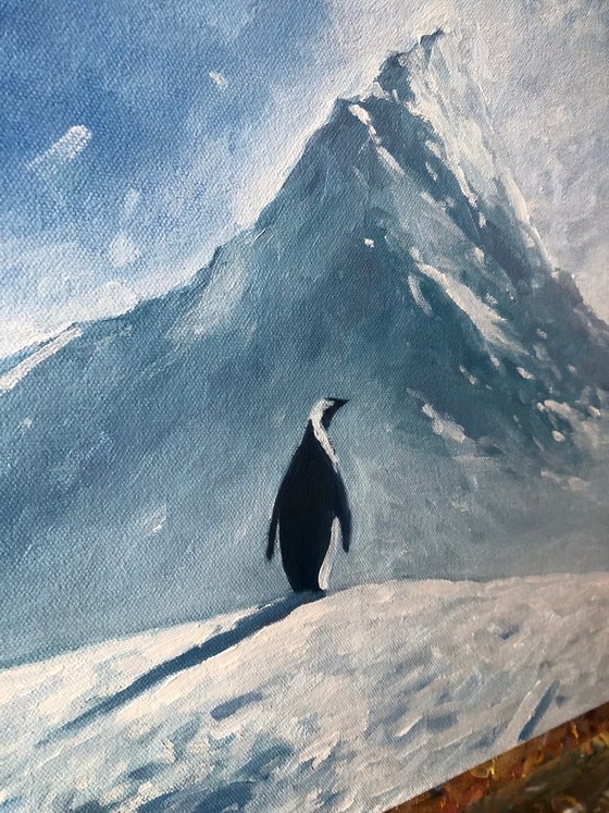 Lonely penguin, but why?