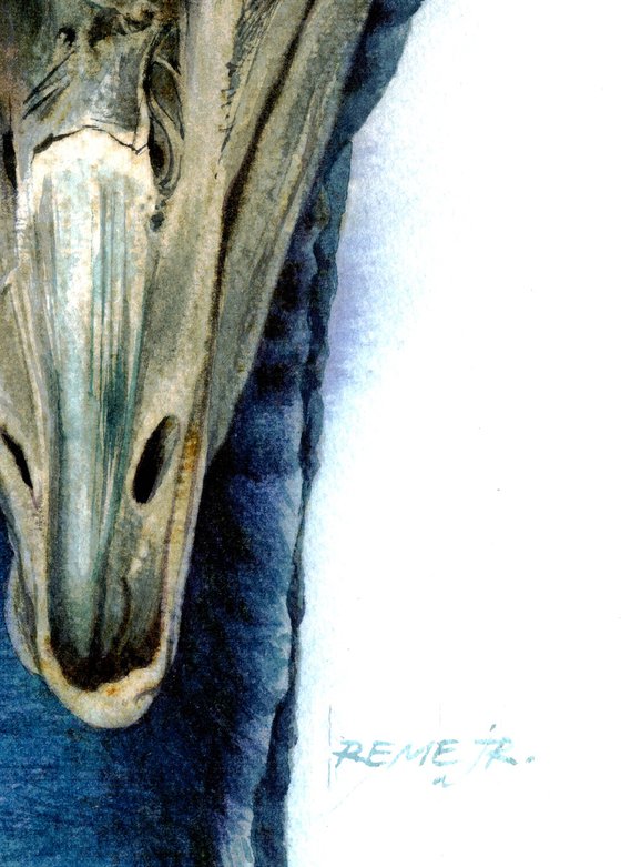 BIRD CCXXIV -  Portrait