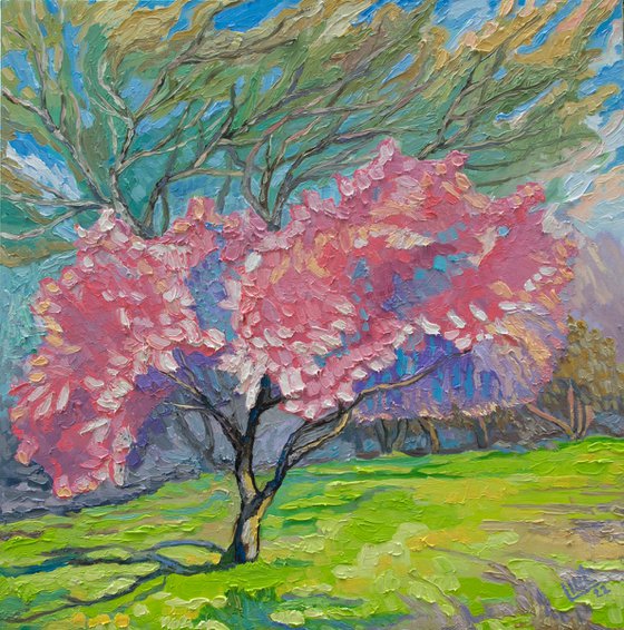 A Blossom Tree