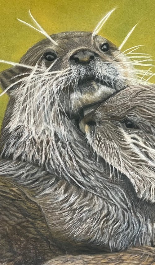 Playful Otters by Anne Shaughnessy