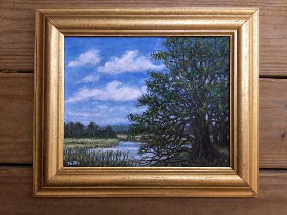 MARSH OAKS - oil 8X10