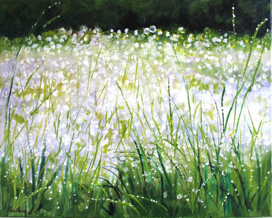 Summer Raindrops 2