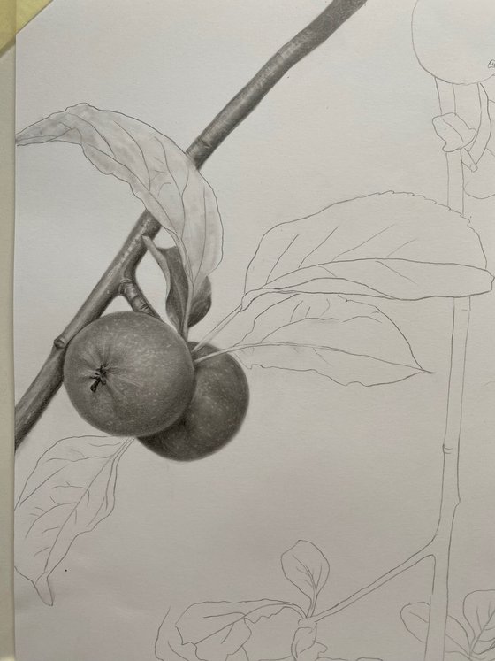 The Taste of Childhood