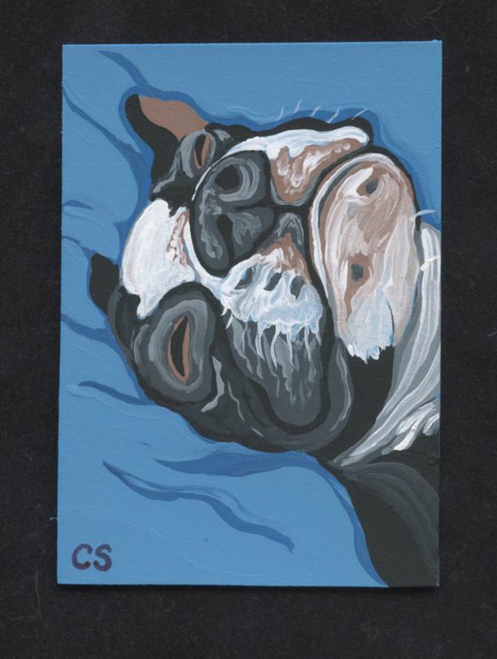 ACEO ATC Original Miniature Painting Sleepy Boston Terrier Pet Dog Art-Carla Smale