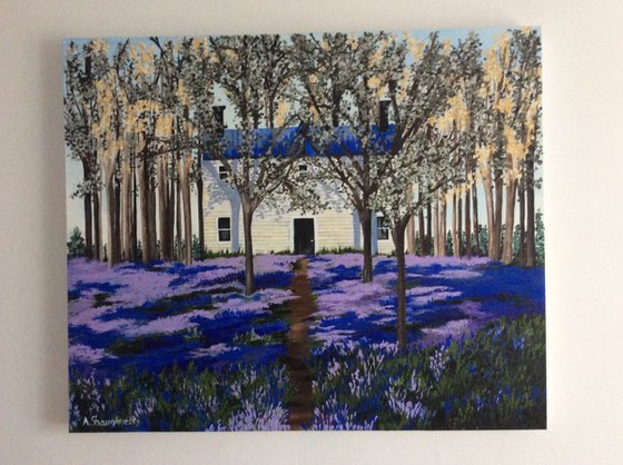 Bluebells