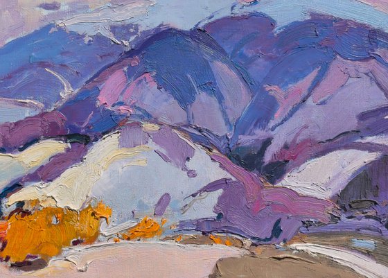 In the Poloninska Ridge
