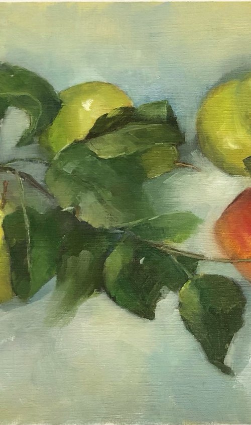 Red Apples, Pears & a Sprig of Leaves by Margie Haslewood