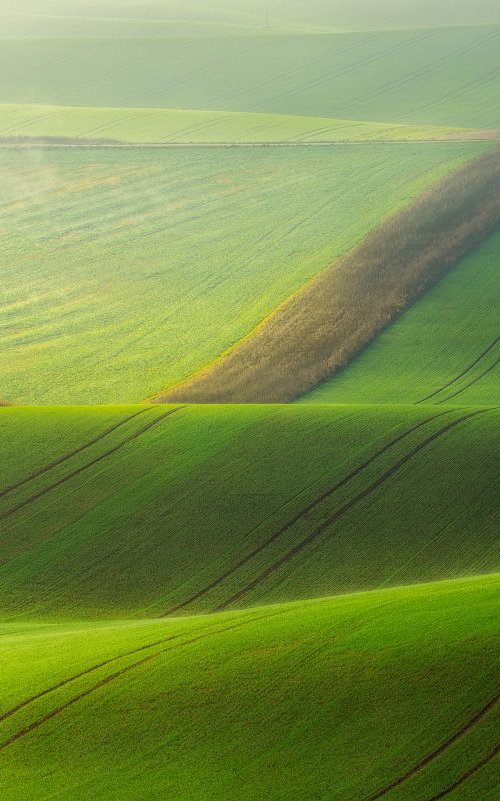 Beginning the new day in Moravia by Janek Sedlar