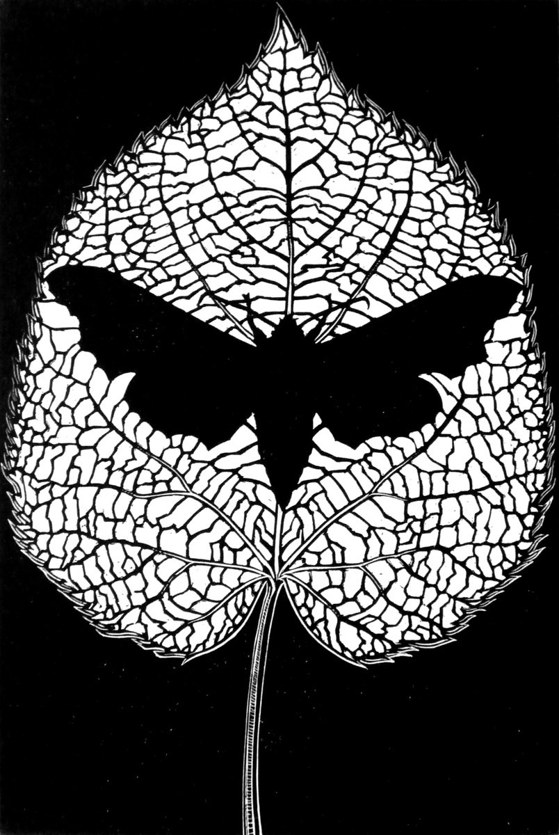 Animal Etchings & Engravings By Rebecca Coleman, 11 X 13", Memento Mori, Original Artwork