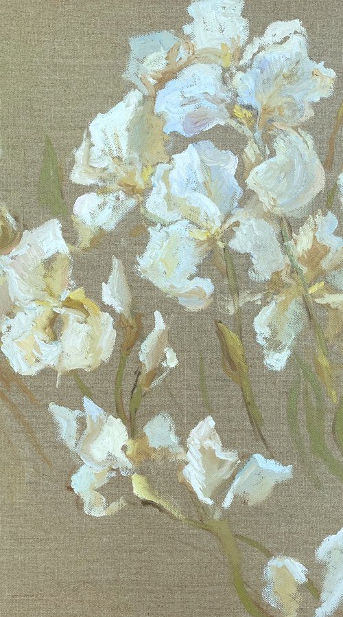 White  iris by Anna Bogushevskaya