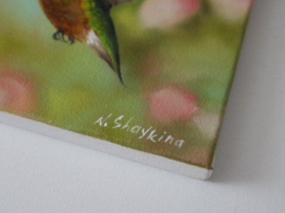 Hummingbird with Flowers
