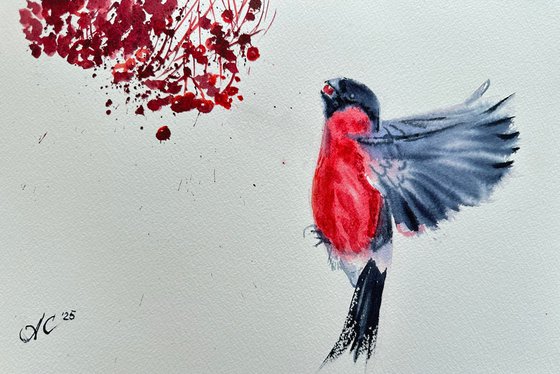 Bullfinch