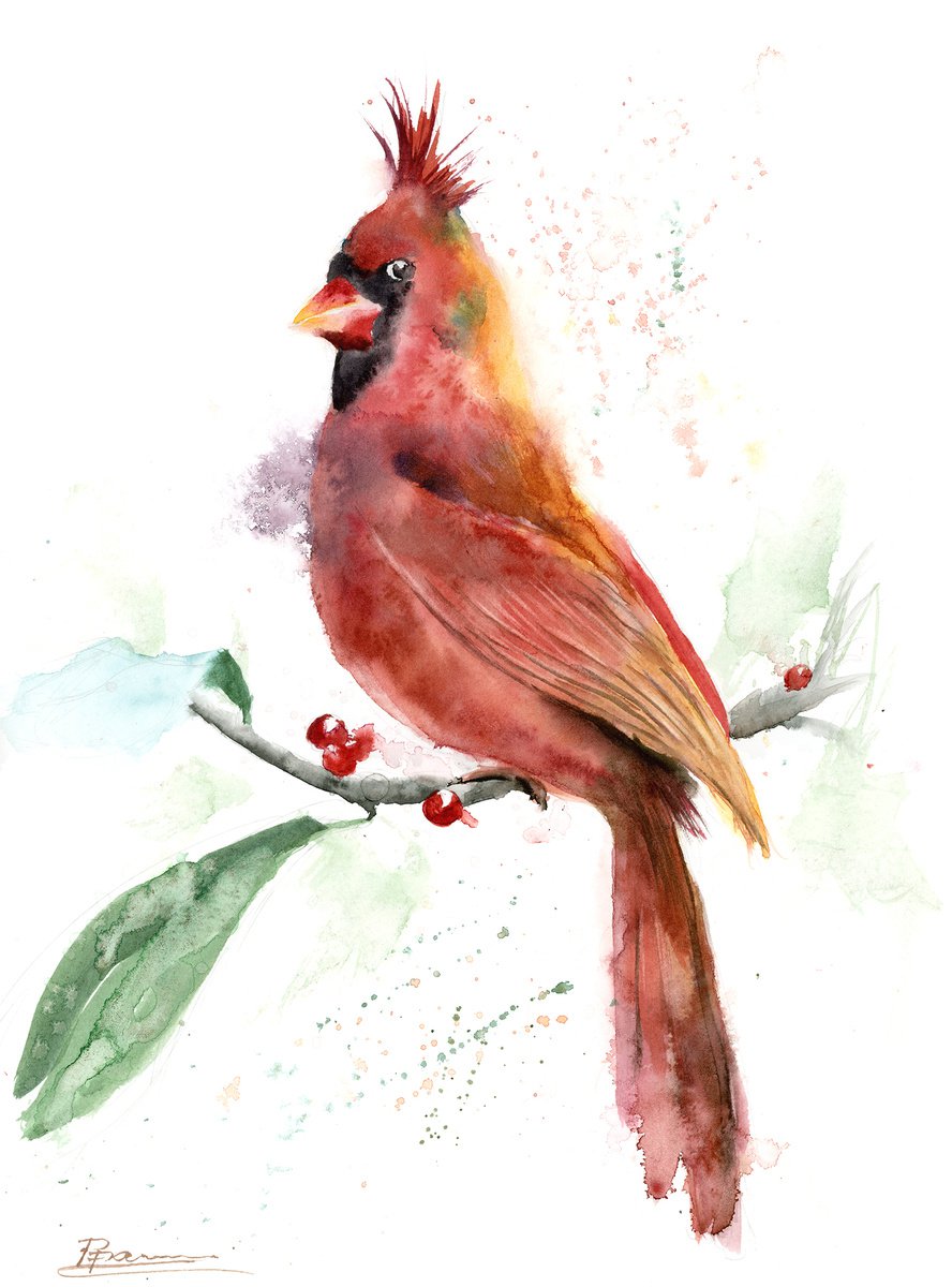 Cardinal on a branch by Olga Shefranov (Tchefranova)