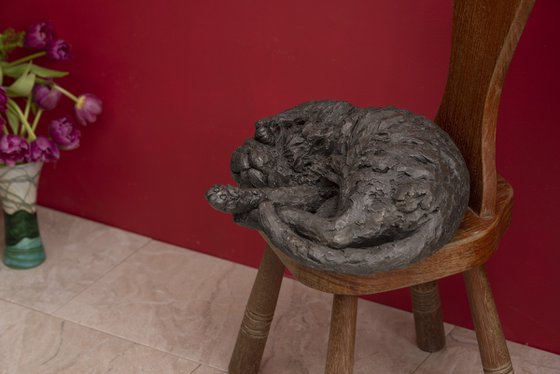 Curled Cat (BR sculpture)