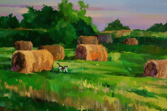 A Cat Among the Hay Bales