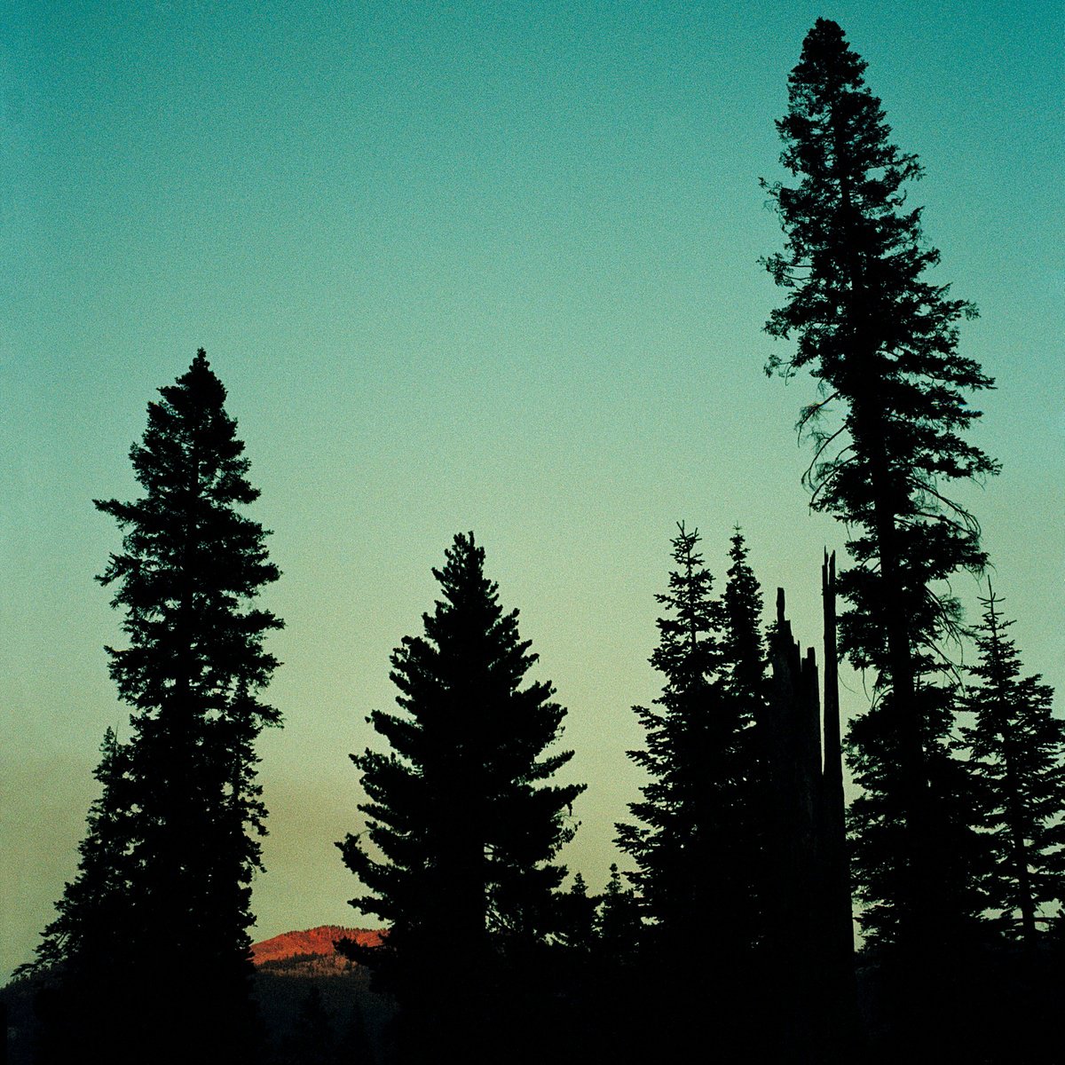 Photorealistic Photograph , Yosemite Red By Gary Moger, 24 X 24, Artwork For Sale On Artfinder