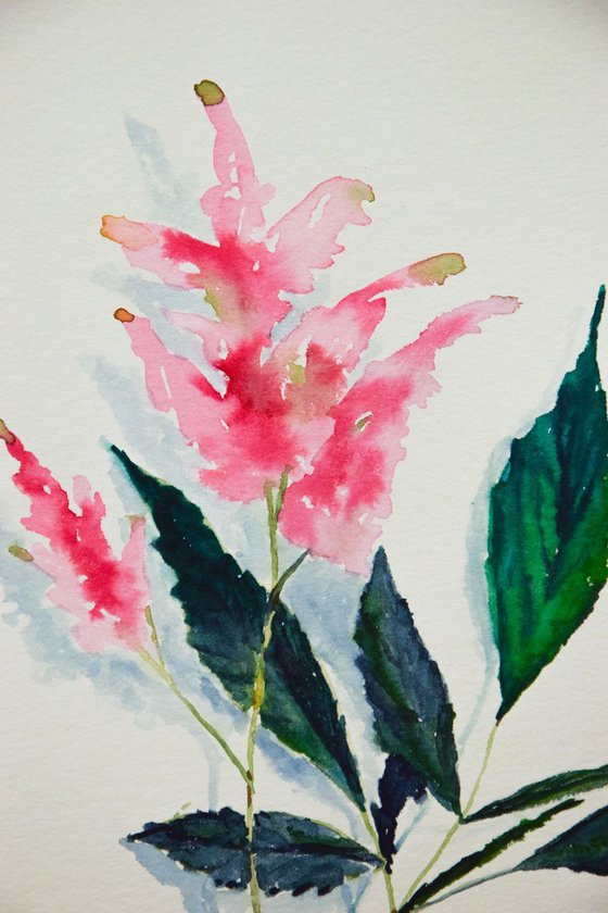 Botanical ORIGINAL watercolor painting, pink flower of mint, romantic gift for her