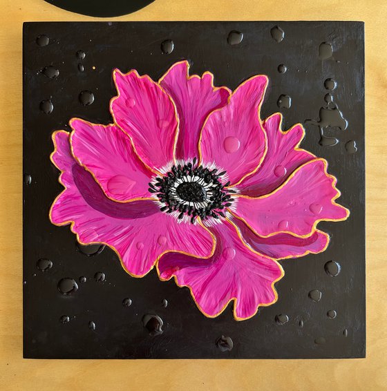 Anemone