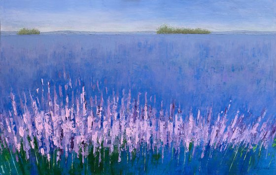 Imression of Provence