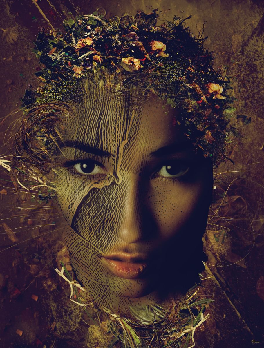 Illustrative Portrait Photograph By Bojan Jevtic, 33 X 43, Golden Lady, Original Artwork
