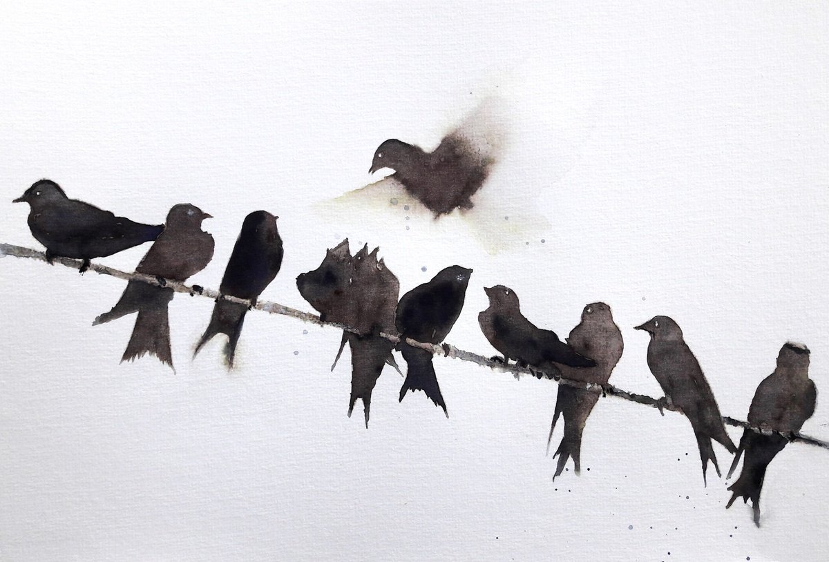 Row of Swallows on a Wire by Teresa Tanner
