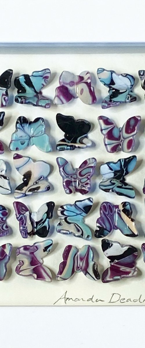 Viginti quinque papiliones by Amanda Deadman