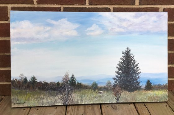 VIEW FROM GRAYSON HIGHLANDS