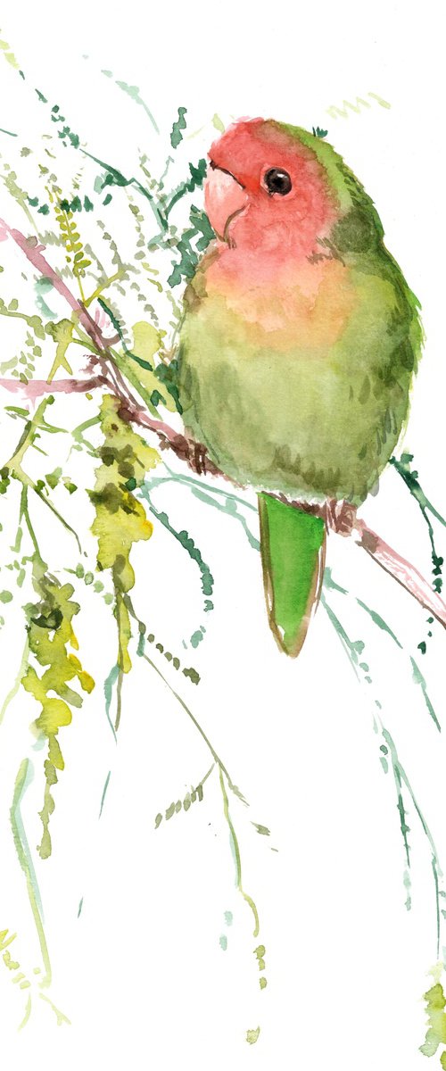 Green Lovebird and Acacia Tree by Suren Nersisyan