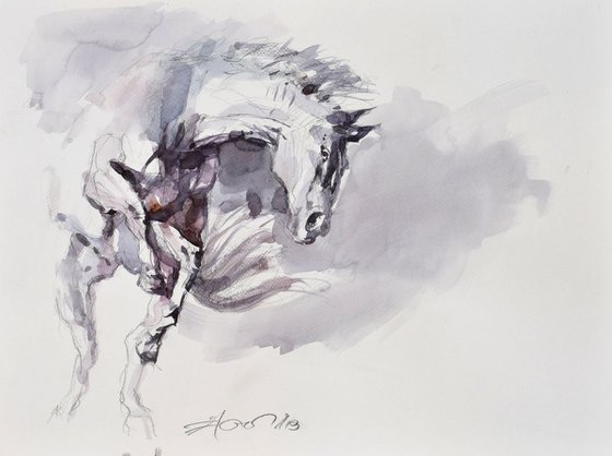 Horse study 2