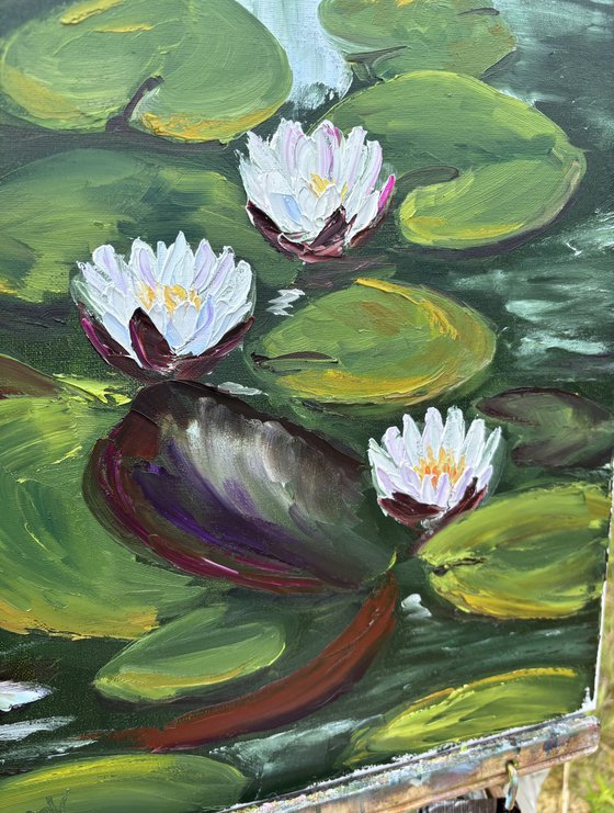 Serenity of Water Lilies