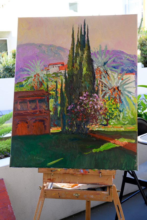 Morning and Cypresses, California