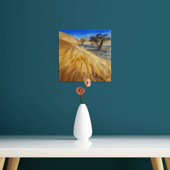 Desert