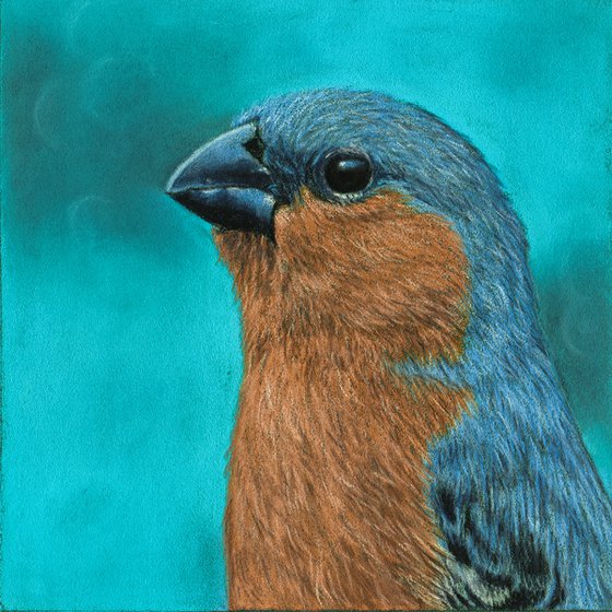 Original diptych pastel drawing birds "Brown portraits"