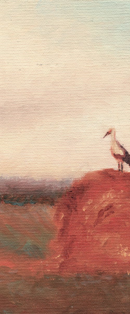 Stork on a haystack, in frame by Alena Post