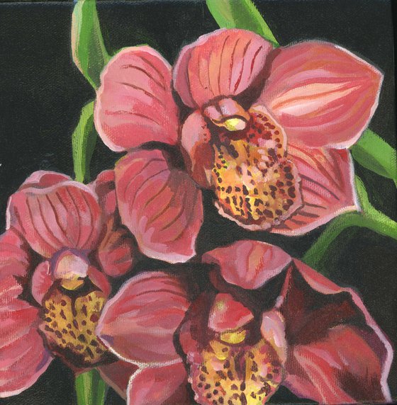 coral orchid acrylic floral