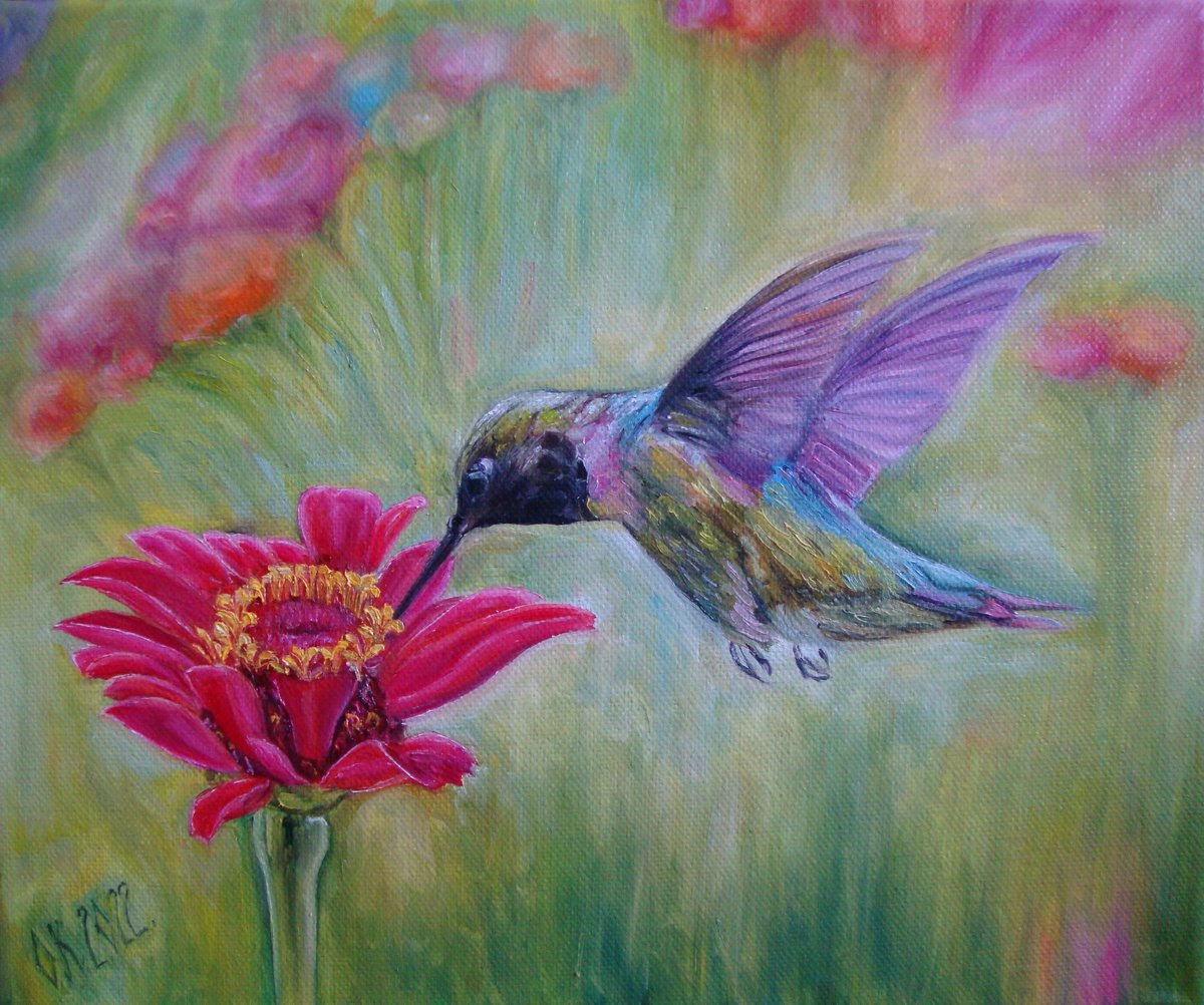 Hummingbird by Olga Knezevic