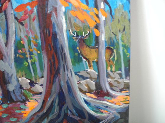 King of the Forest