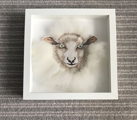 Sheep