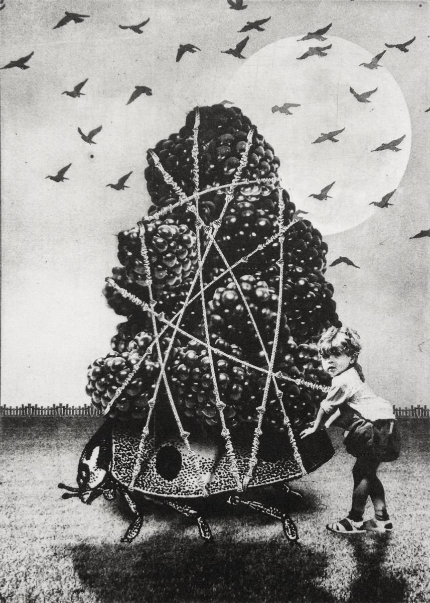 Surrealistic Portrait Etchings & Engravings By Jaco Putker, 8 X 11, The Girl And The Ladybug, Original Artwork