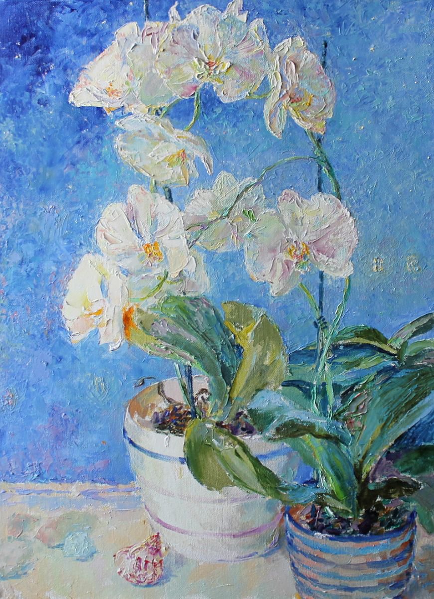 Orchids. It mists by Svetlana Koval (Gunchenko)