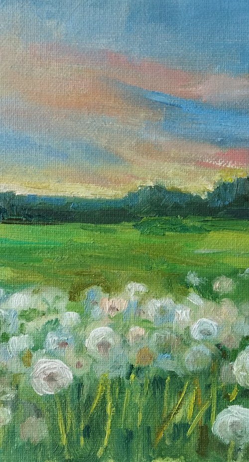 Dandelion Field at Sunset by Ann Krasikova