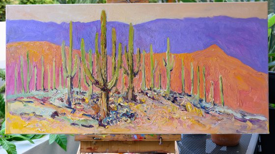 Desert Peace. Saguaros