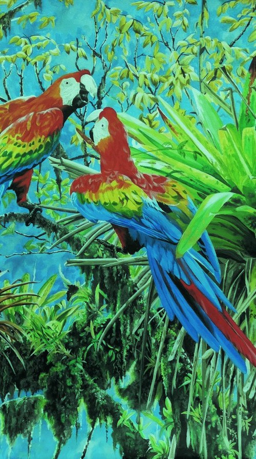 Scarlet Macaws by Julian Wheat