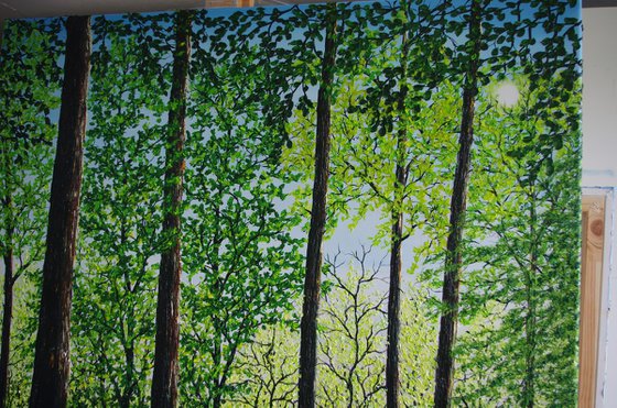 Springtime Shadows