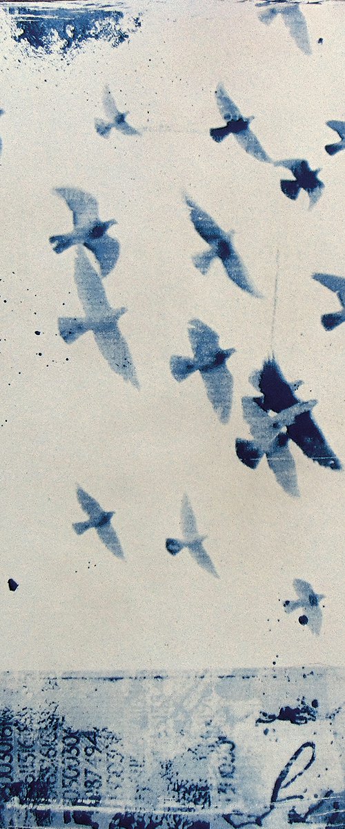 Cyanotype_03_A3_Birds by Manel Villalonga