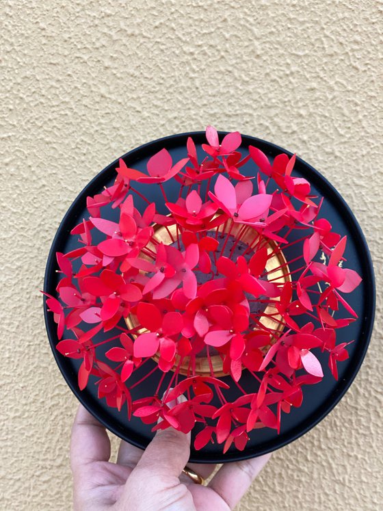 Ixora Bloom